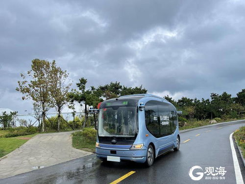 乘坐自動駕駛公交車是什么體驗？這20人在青島嘗鮮智能交通